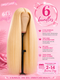 613 STRAIGHT LACE WIG